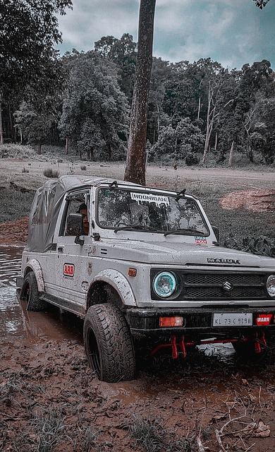 巴勒斯坦隊 巴勒斯坦隊