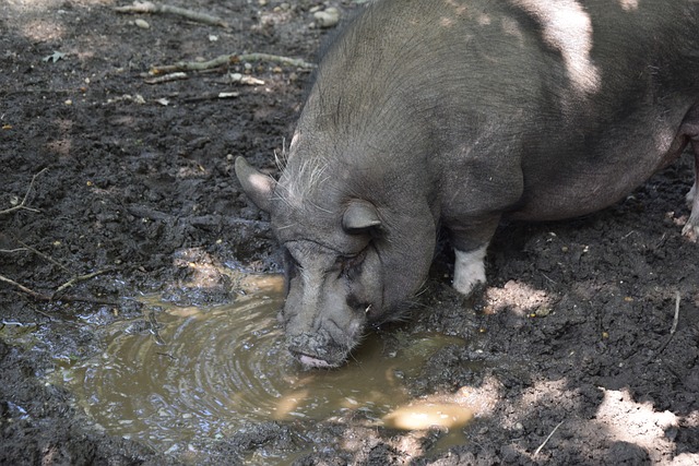 止适用于球 止适用于球