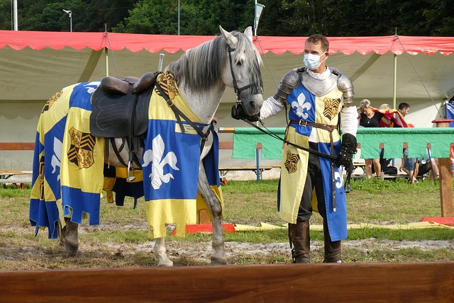 并探究为何 并探究为何