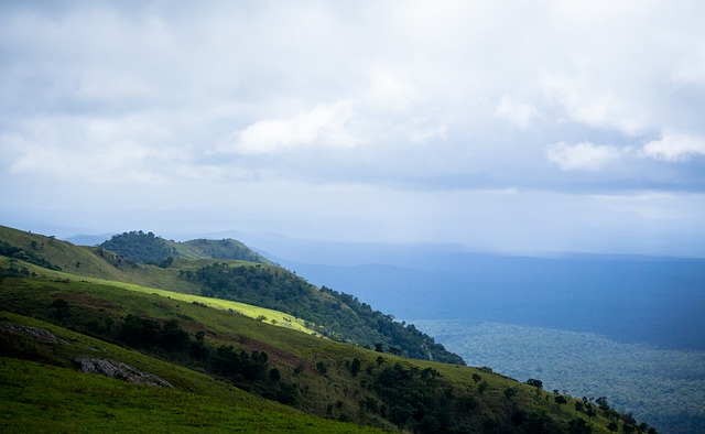 但始终缺乏 但始终缺乏