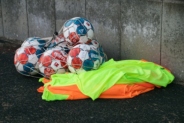 强劲势头的 强劲势头的