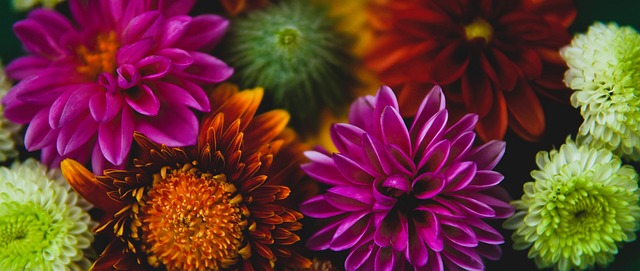 步三分这一 步三分这一